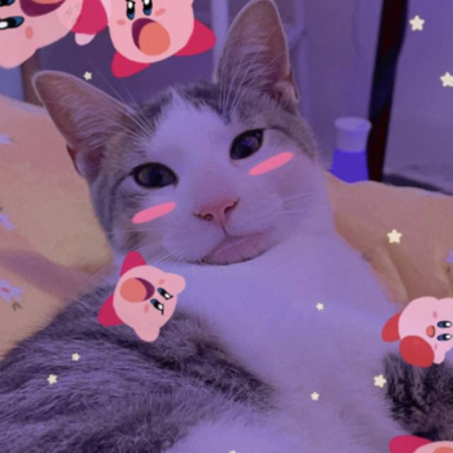 anni3ann1e