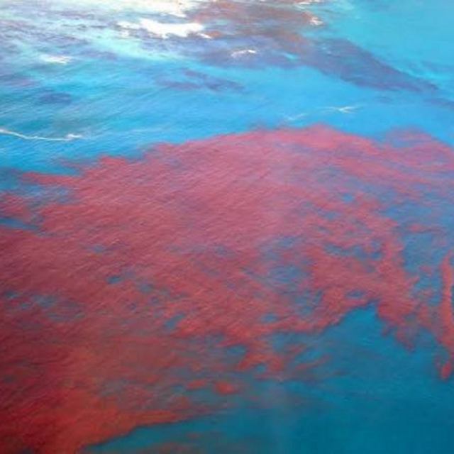 Red Tide