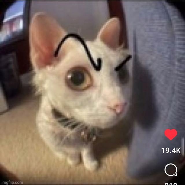 Tyler