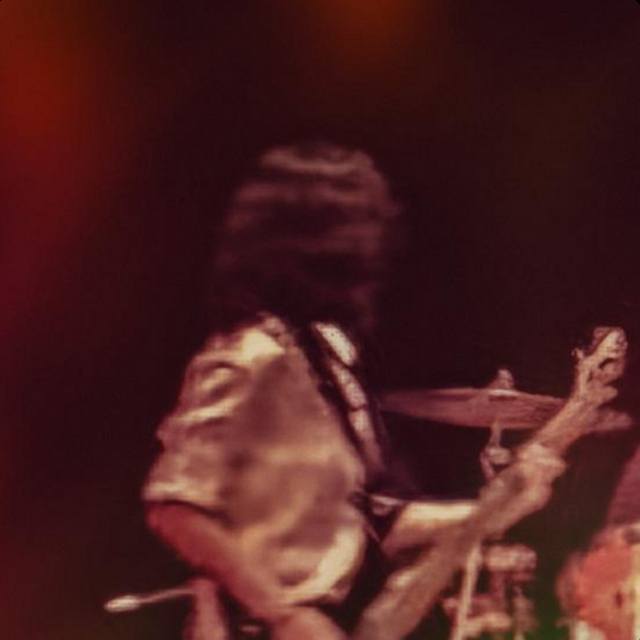 Rinplaysbass