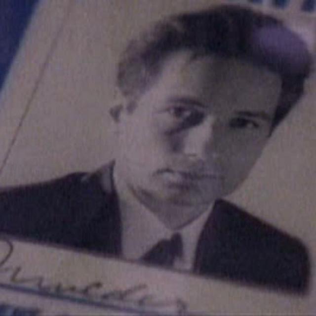 David