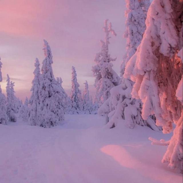 pink159773