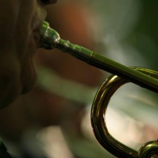 Community Concert Band of Whitby