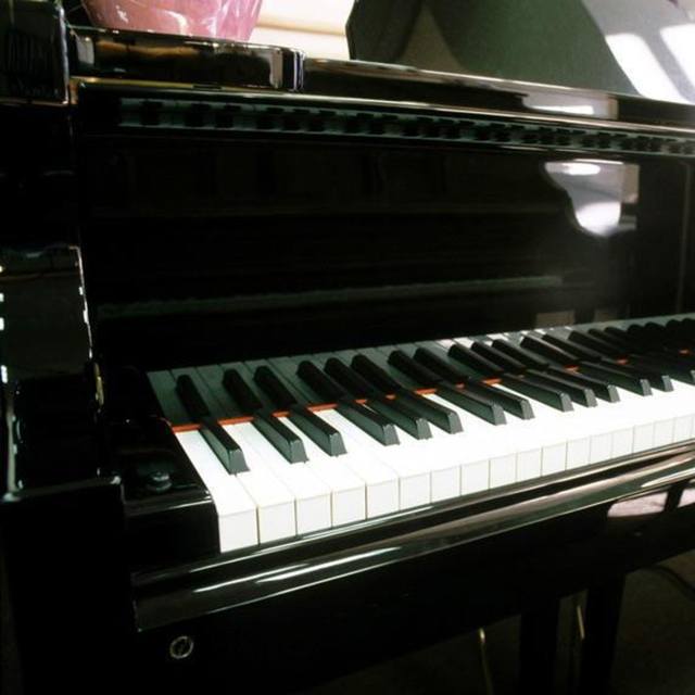 shelley55793